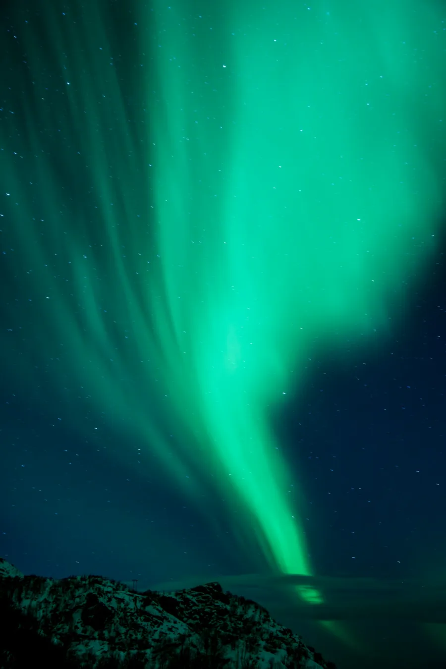 A sweeping green aurora above a snow-covered coast