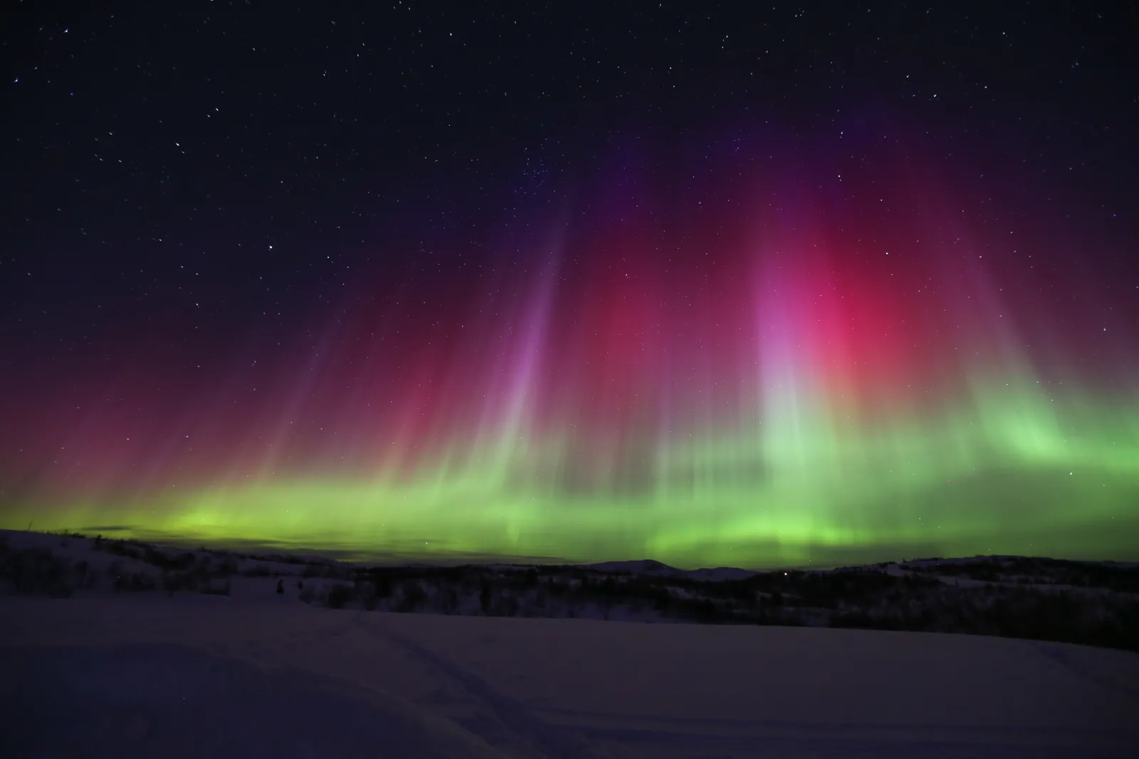 Red and green aurora curtains over a snow-covered plateau