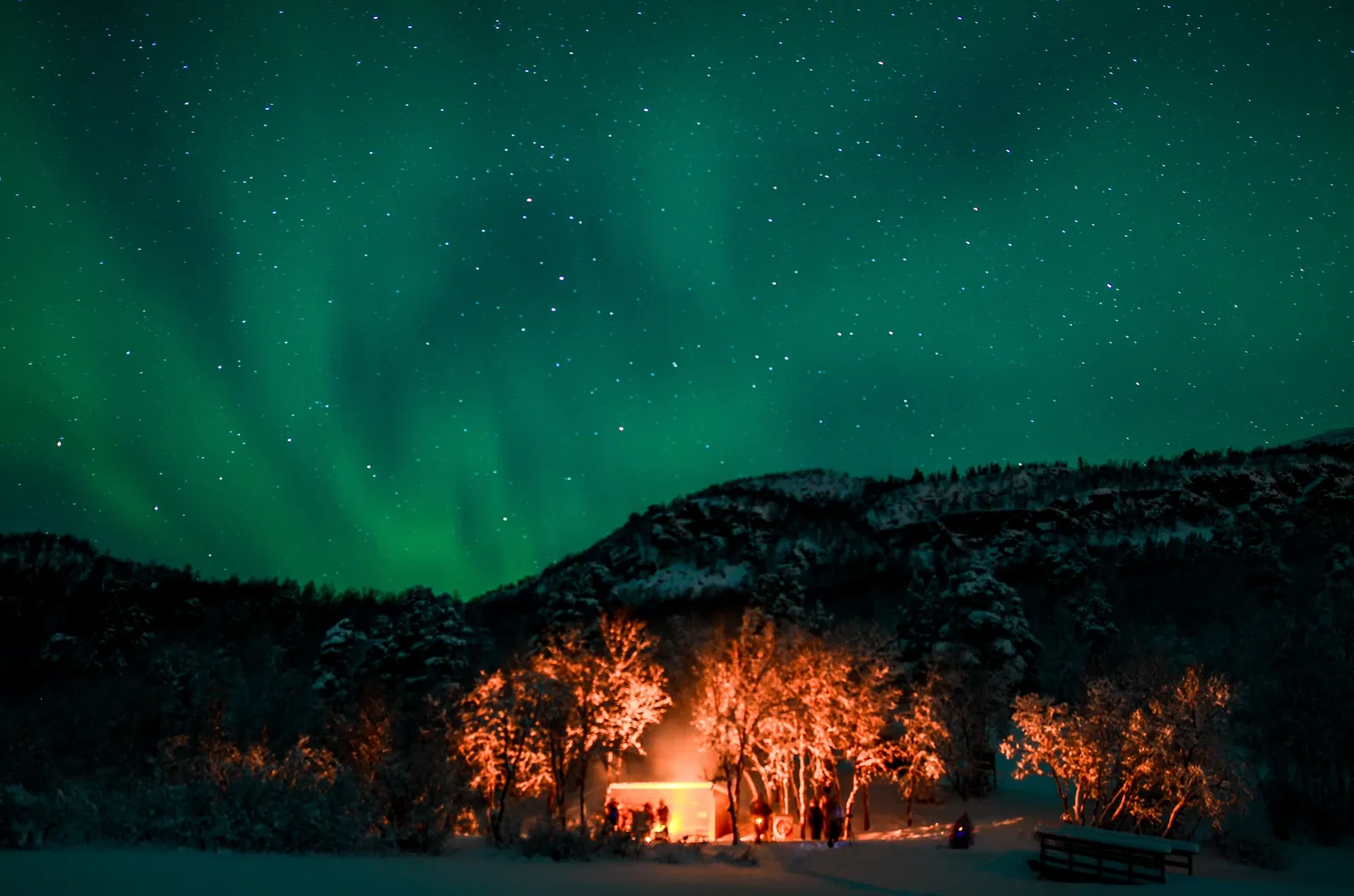 Green aurora above a lit fire shelter in snowy woods