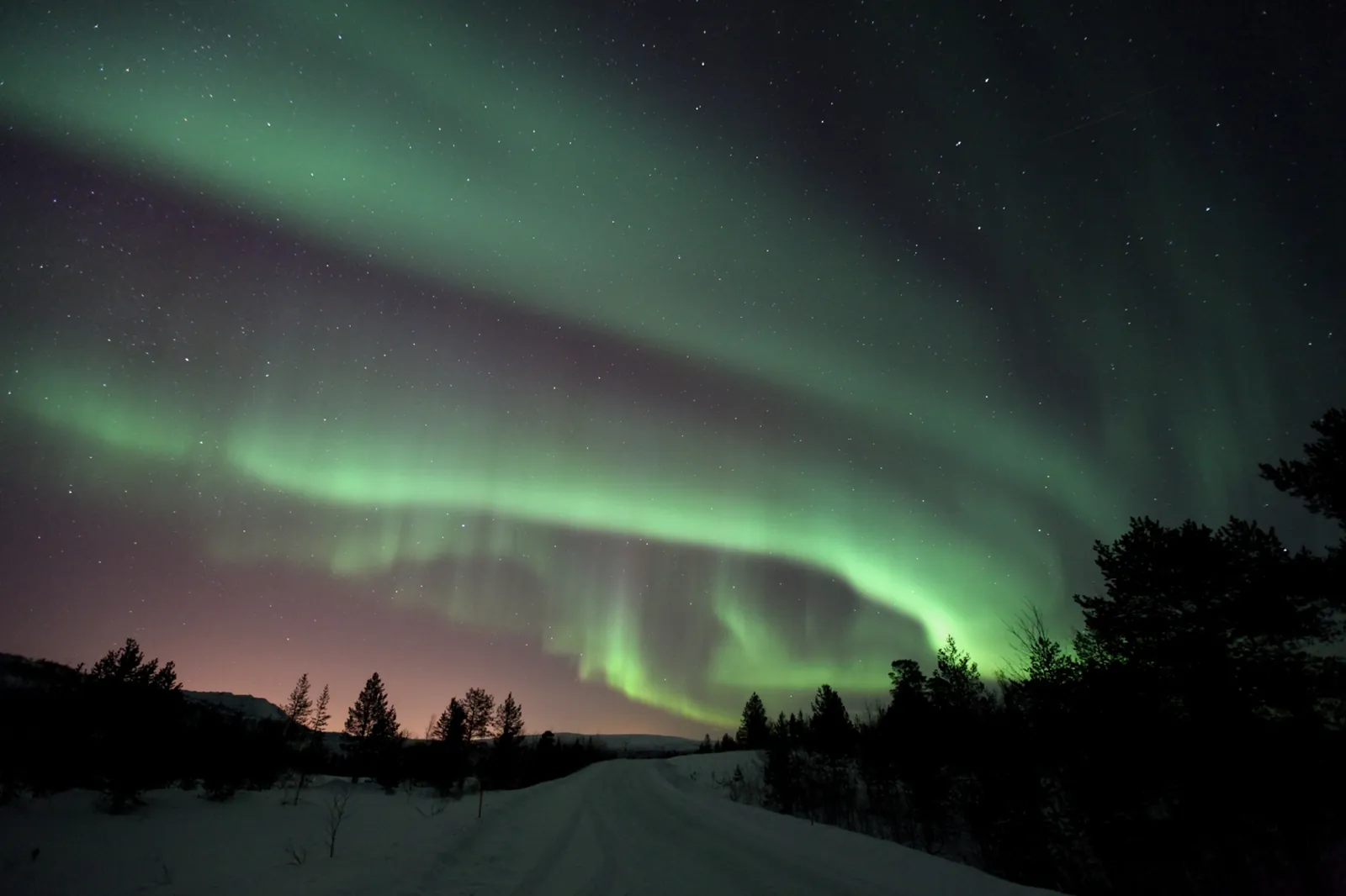 A green aurora arc over birch forest and a snowy track